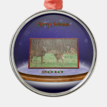 Holiday Ornament