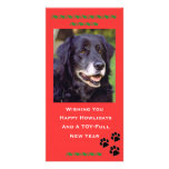 Holiday Photo Card