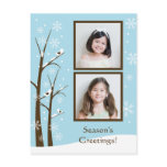 Holiday Photo Postcard postcards