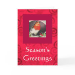 Holiday Red Bird Christmas card