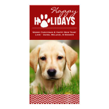 Holiday  Red & White Chevron Pet Photo Card