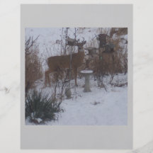 Holiday Reindeer Flyer