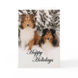 Holiday Shelties Greeting Card
