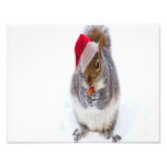 Holiday Squirrel Photo Art