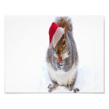 Holiday Squirrel Photo Art