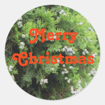 Holiday tree sticker
