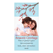 Holiday Winter Berry and Snowflakes Photo Cards