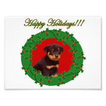 Holidays Rottweiler puppy Photo Art
