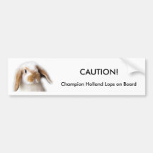 Holland Lop Bumper Sticker