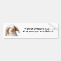 Holland Lop Bumper Sticker