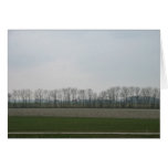Holland Polder Landscape Photo Card