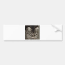 holland shoes bumper sticker
