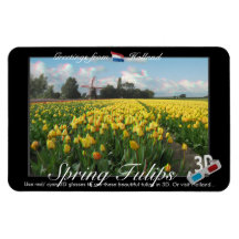 Holland Tulips Landscape 3D View Anaglyph Rectangle Magnets