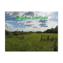 Holliday Postcard