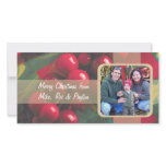 Holly Berries And Ribbon Family Photo Card