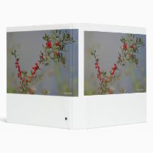 Holly berry stem against grey background binders