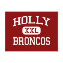 Holly - Broncos - Alternative - Holly Michigan postcards