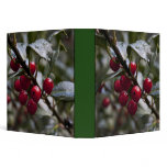 holly leaves and red berries, winter binder