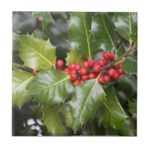 Holly Photo Ceramic Tile