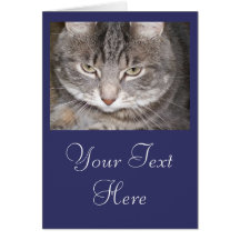 Holly the Cat Card