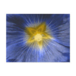 Hollyhock Flower Beautiful Blue Postcard
