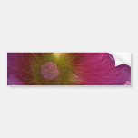 Hollyhock Flower Bumper Stickers