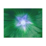 Hollyhock Flower Gorgeous Green Postcard