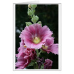Hollyhock Greeting Card