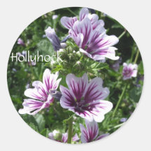 Hollyhock Round Stickers