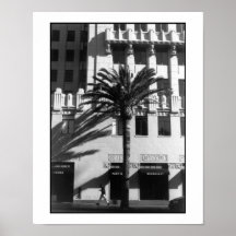 Hollywood and Vine Palm Tree Print