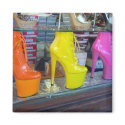 Hollywood Blvd Shoes magnets
