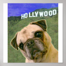 Hollywood PUG Poster