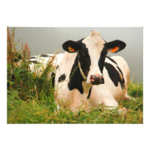 Holstein cow custom invite