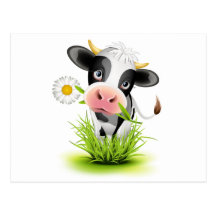 Holstein cow in grass post cards