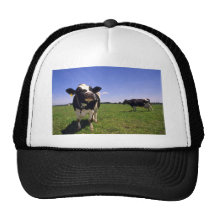 Holstein Dairy Cattle Hats