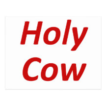 Holy Cow Postcards