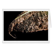 holy leaf abstract cards
