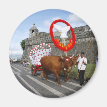 Holy Spirit festivities Fridge Magnets