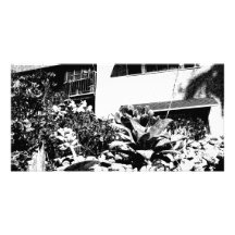 Home And Garden Photo Greeting Card
