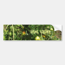 Home Grown Tomatoes-Hobby Bumper Sticker