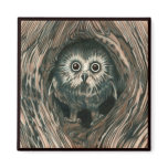 "Home in a Hole" Owl Magnet