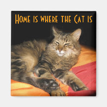Home is where the Cat is Magnet