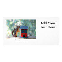 Home is Where the Heart Is Squirrel Picture Card