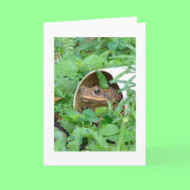 Home of my own notecard cards