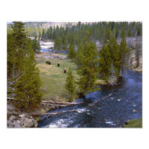 Home On The Range Photo Print