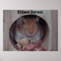 Home Sweet Home Poster