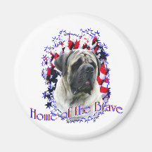 HomeoftheBrave Fridge Magnets