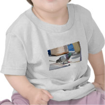 Homing Pigeon On A Yacht Shirt