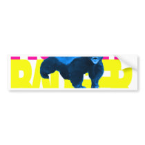 Honey Badger Dont Care South Beach