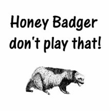 honey badger don't play that acrylic cut out